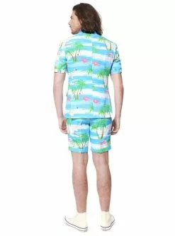 Flamingo Anzug - Opposuits (Sommer Kollektion) -Tiere & Insekten Verkäufe flaminguy summer edition opposuit anzug 2