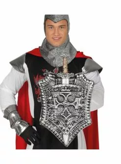 Mittelalterliches Schilt Mit Silbernem Schwert