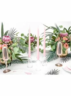 Runde Kerzen Set 10-teilig Matt-pastellrosa 24 Cm -Tiere & Insekten Verkäufe runde kerzen set 10 teilig matt pastellrosa 24 cm 3