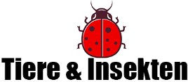 Tiere & Insekten Verkäufe